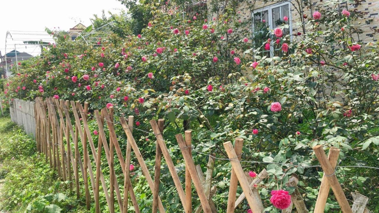 Rose Homestay Νιν Μπιν Εξωτερικό φωτογραφία